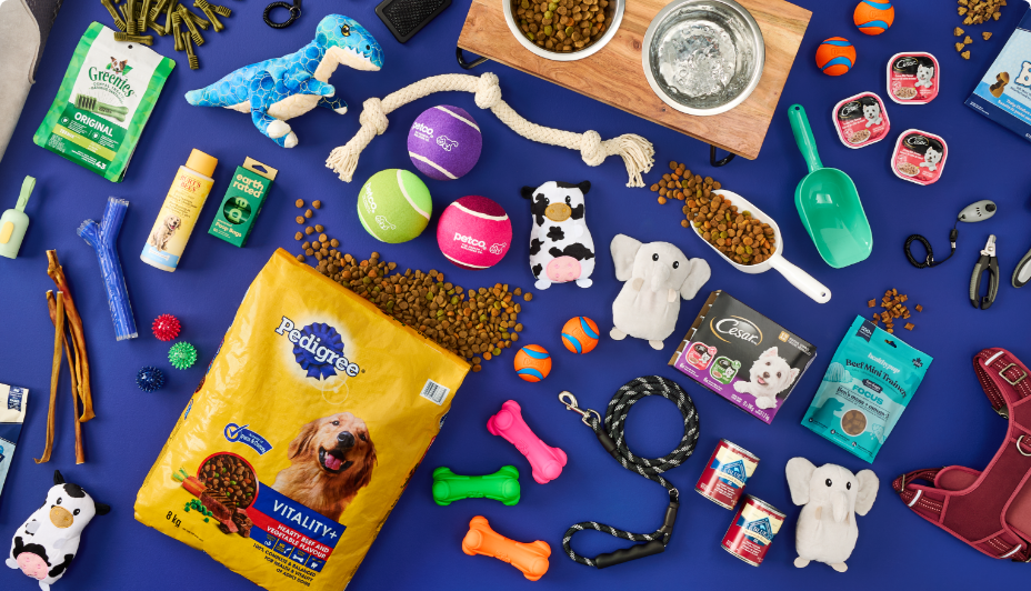 Various dog supplies, including food, treats, toys, grooming products and accessories, arranged on a blue background.