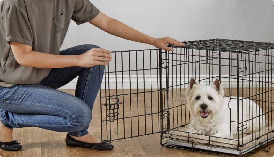 A person opening a crate with a small white dog inside.