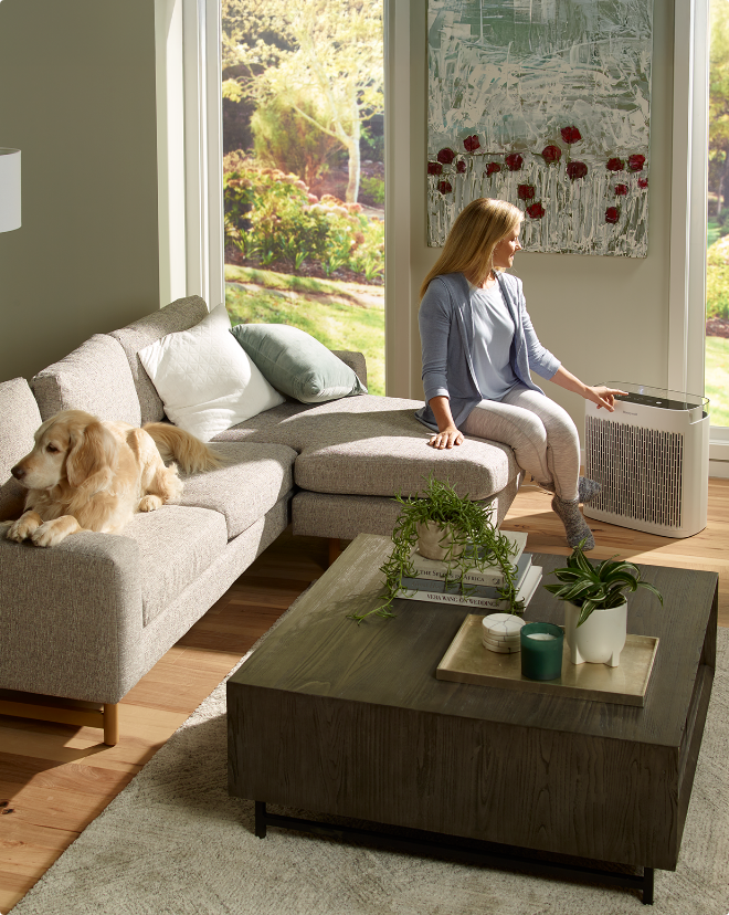 A person sitting on a couch in a living room with a dog lying next to them.