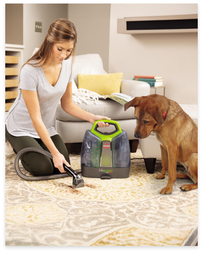 A person using a carpet cleaner on a rug while a dog watches.