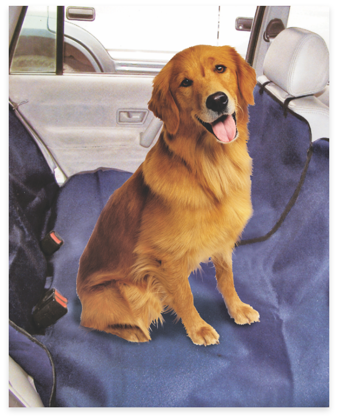 A Golden Retriever sitting on a car seat cover in the backseat.