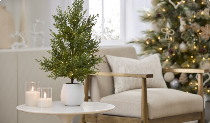 CANVAS Tabletop Cedar Tree in White Ceramic Pot