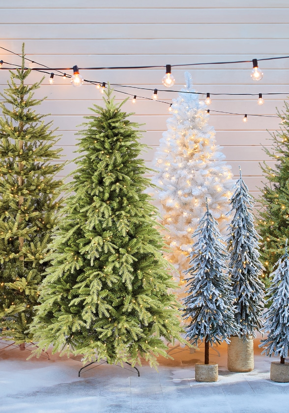 Five decorated Christmas trees of varying sizes, with string lights above them, standing on a snowy surface.