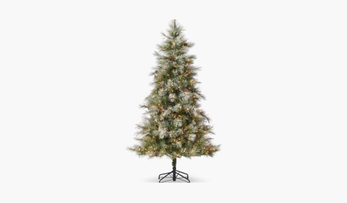 CANVAS Charlotte Pre-Lit Flocked Pine Tree, 7-ft