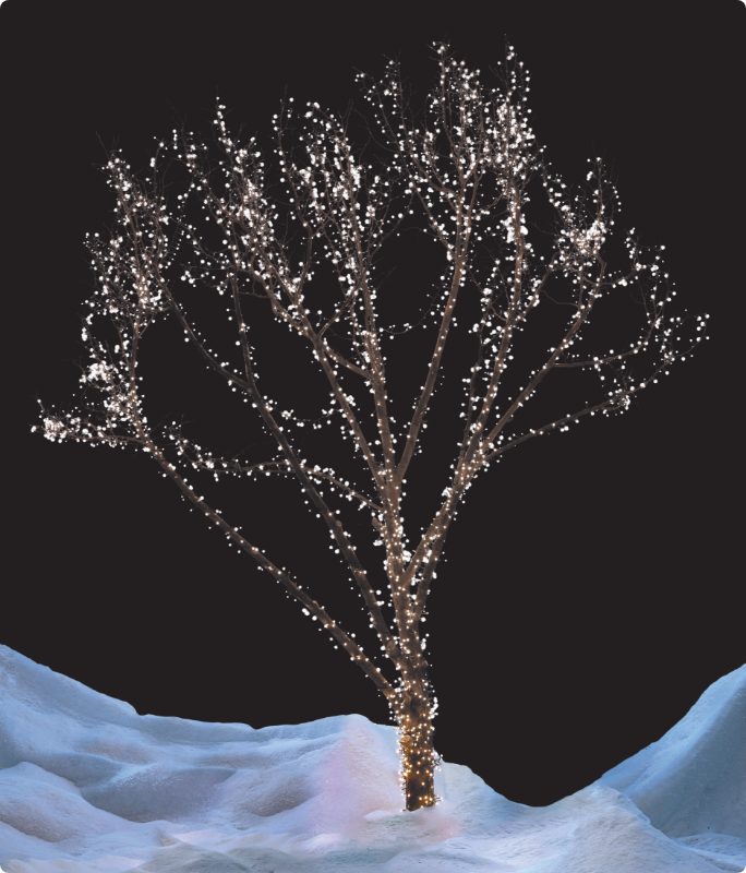 A tree decorated with pure white NOMA Advanced Cluster Lightshow LEDs.