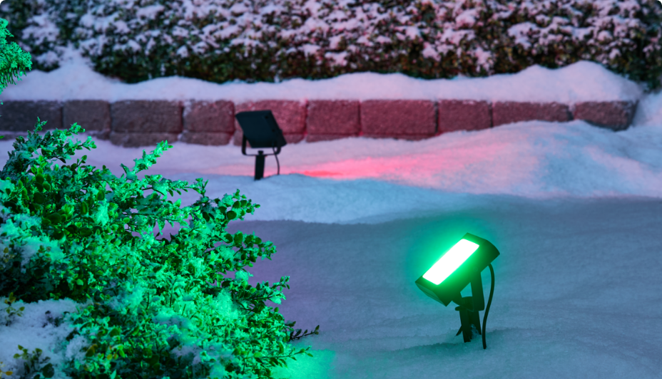 Un jardin enneigé illuminé par des projecteurs intelligents NOMA verts et rouges.