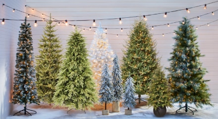 Shop our wide selection of Christmas trees in varying styles and sizes.