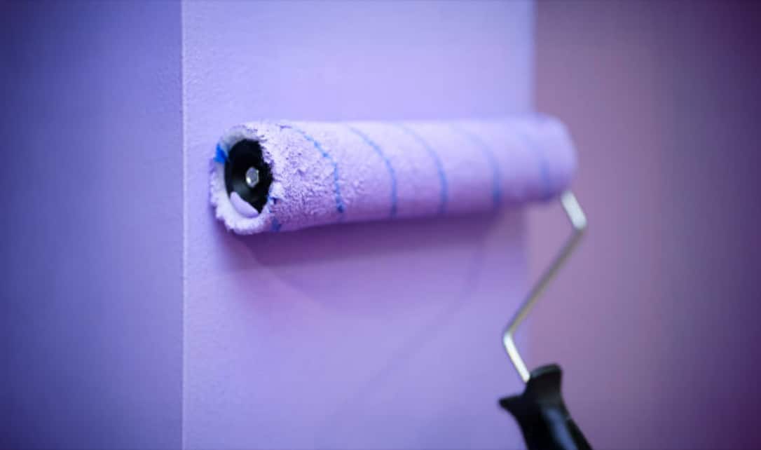 Paint roller applying purple paint to a wall.