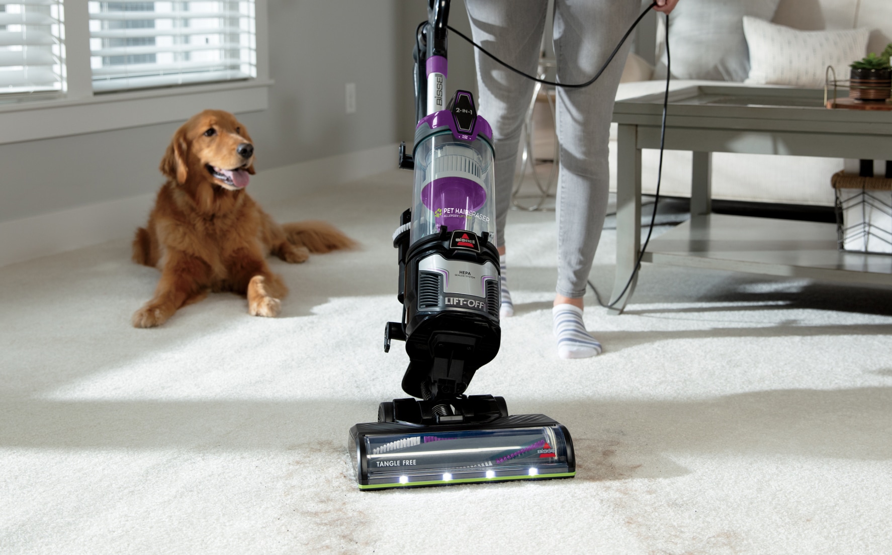 Aspirateurs polyvalents pour tout espace