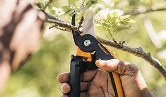 Pruning & Trimming Tools