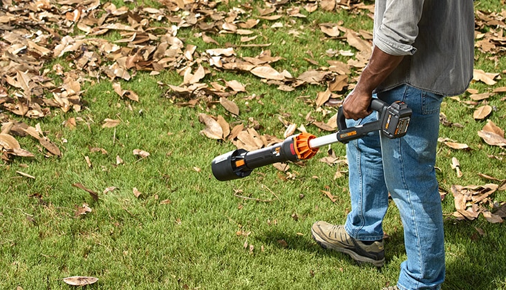 Personne utilisant un souffleur Worx