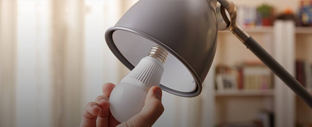How to choose a lightbulb fwt