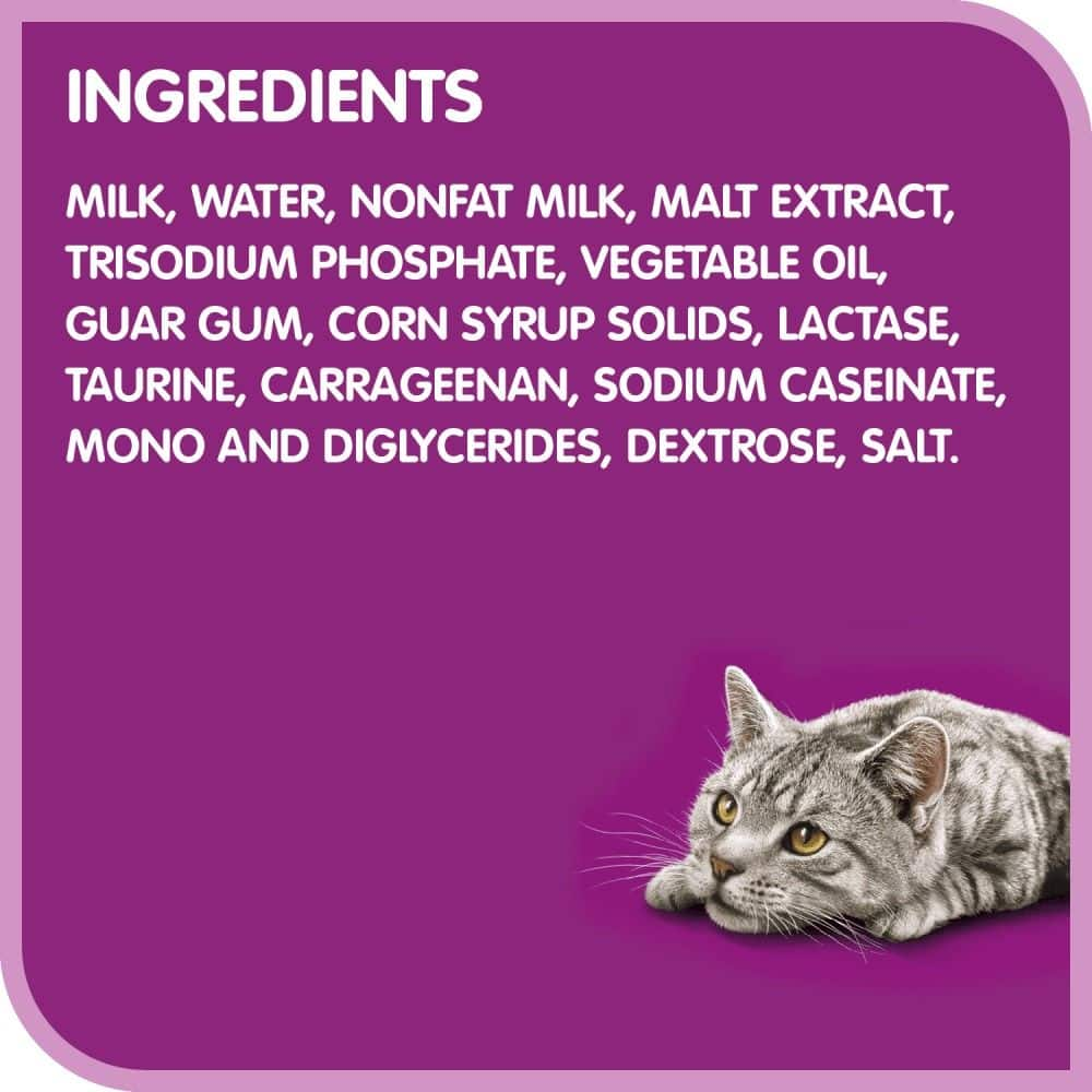 Cat milk hot sale price