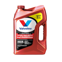 Valvoline MaxLife™ Multi-Vehicle Full-Synthetic Automatic Transmission Fluid, 5-L