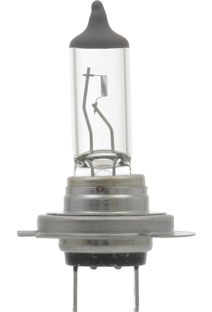 h7 55w headlight bulb