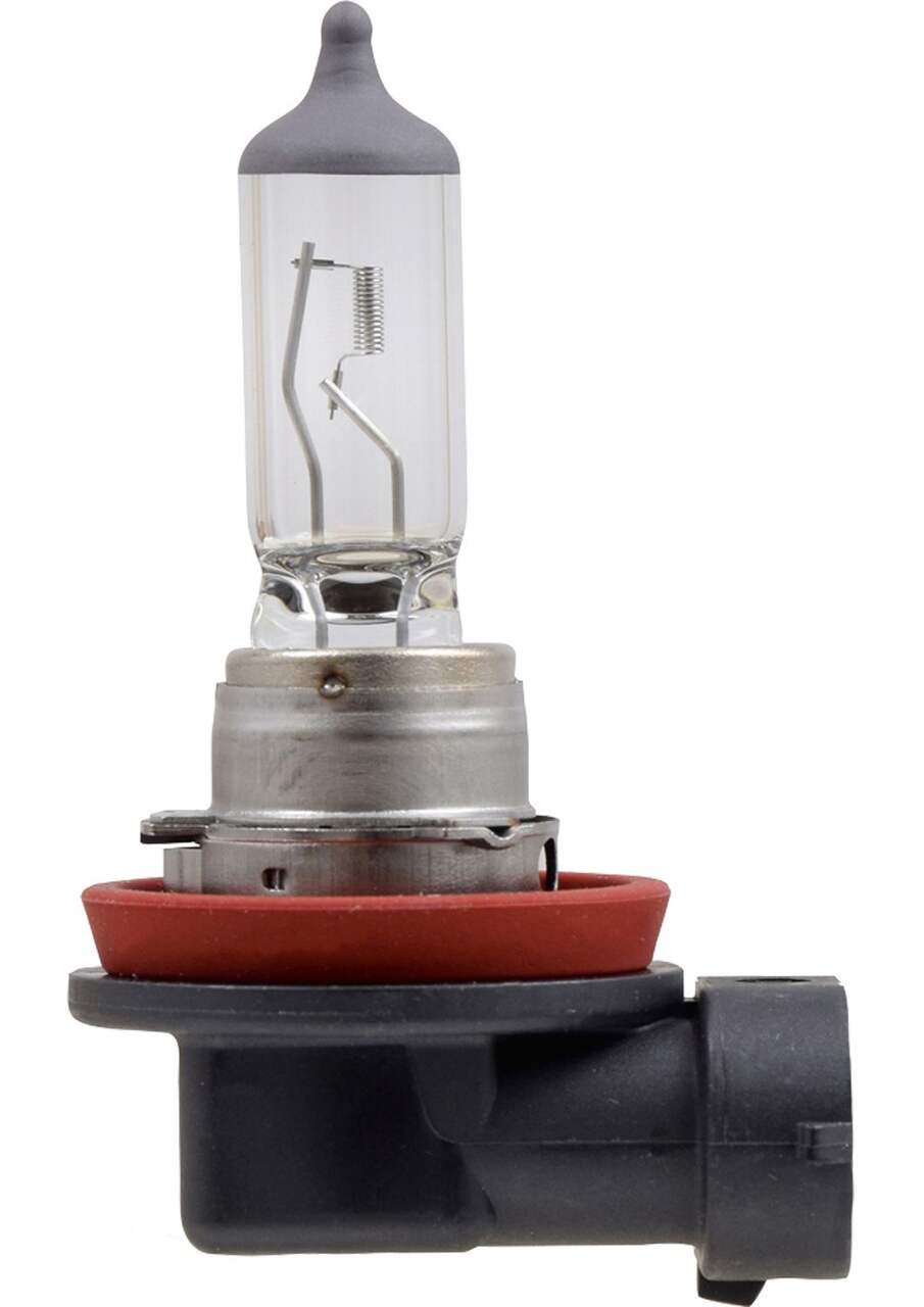 Ampoule de phare à halogène Certified H11, paq. 1