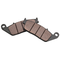 Twin Power X-Stop Sintered Brake Pads for Victory, Rear Front_Flat
