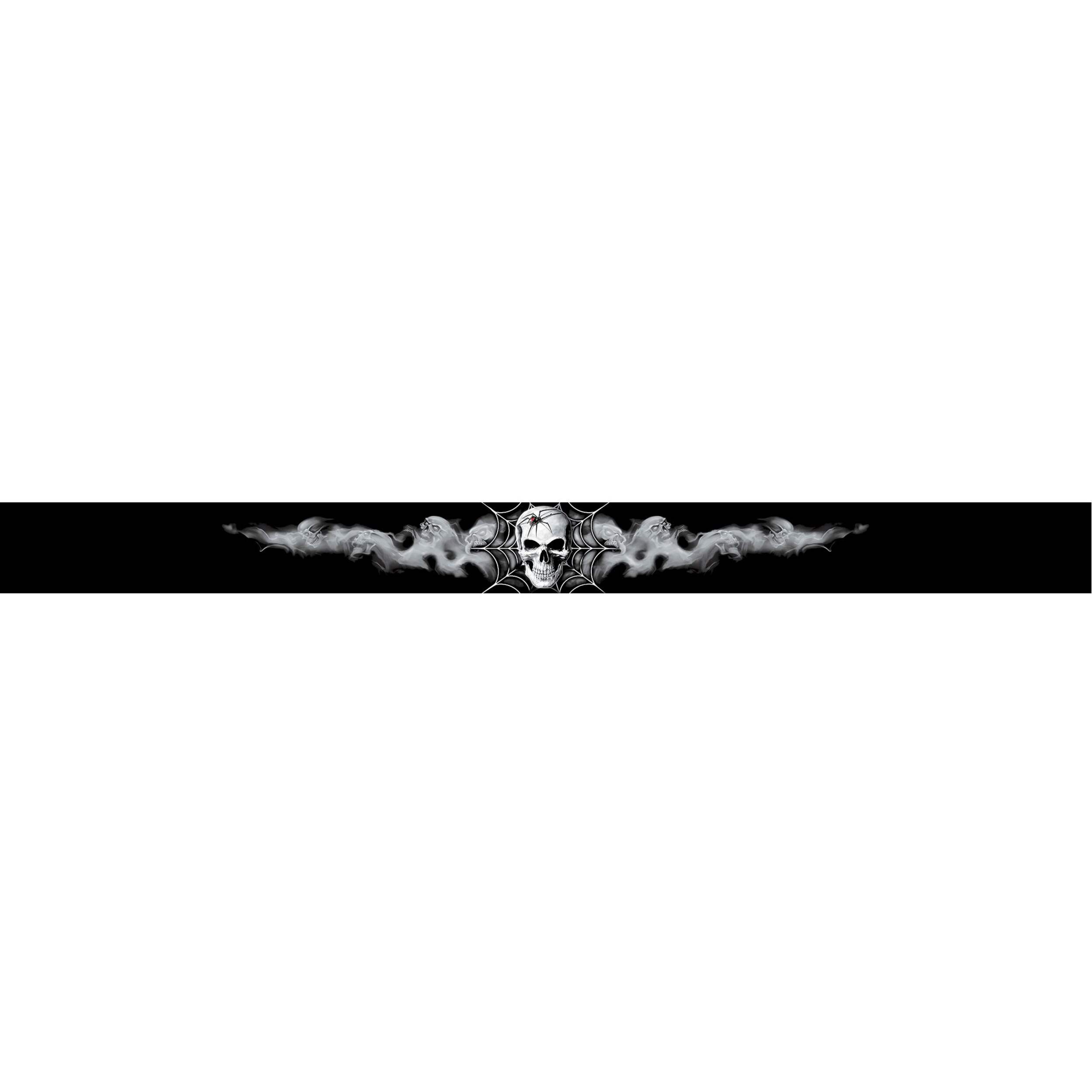 Cyber Skulls Banner Car Decal Front_Flat