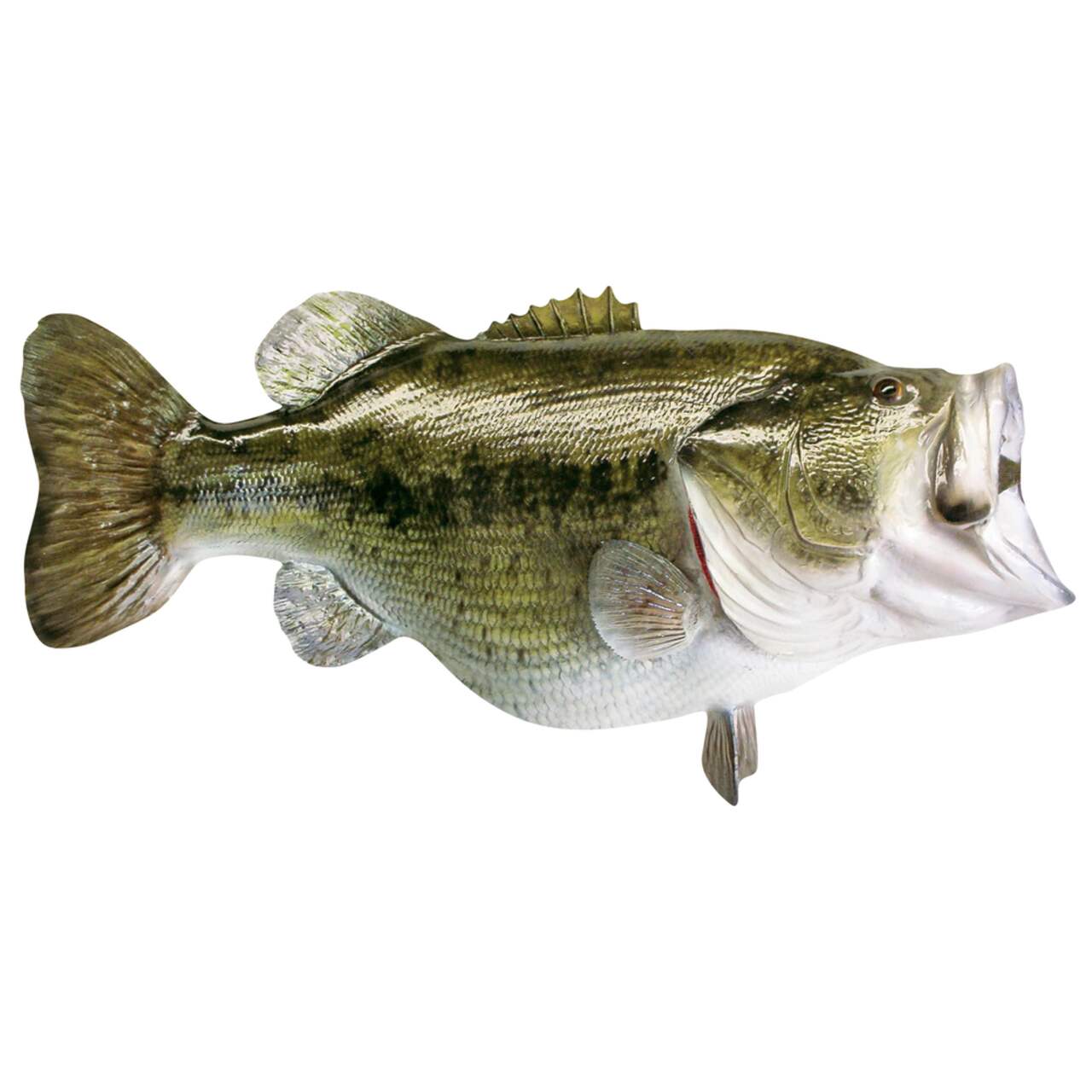 Wide Mouth Bass Car Magnet