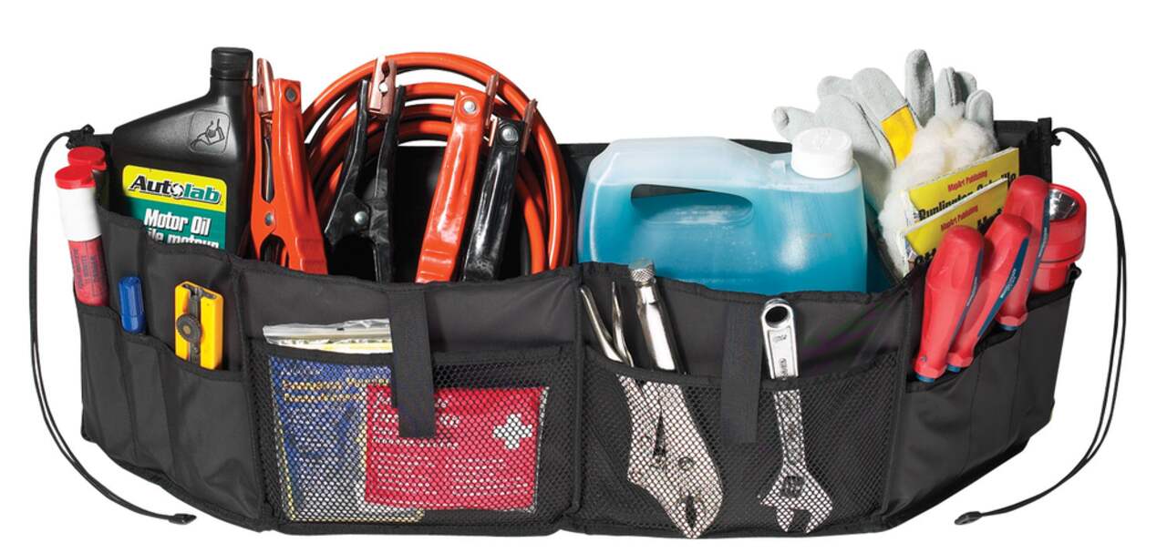 Cargo bag canadian tire store