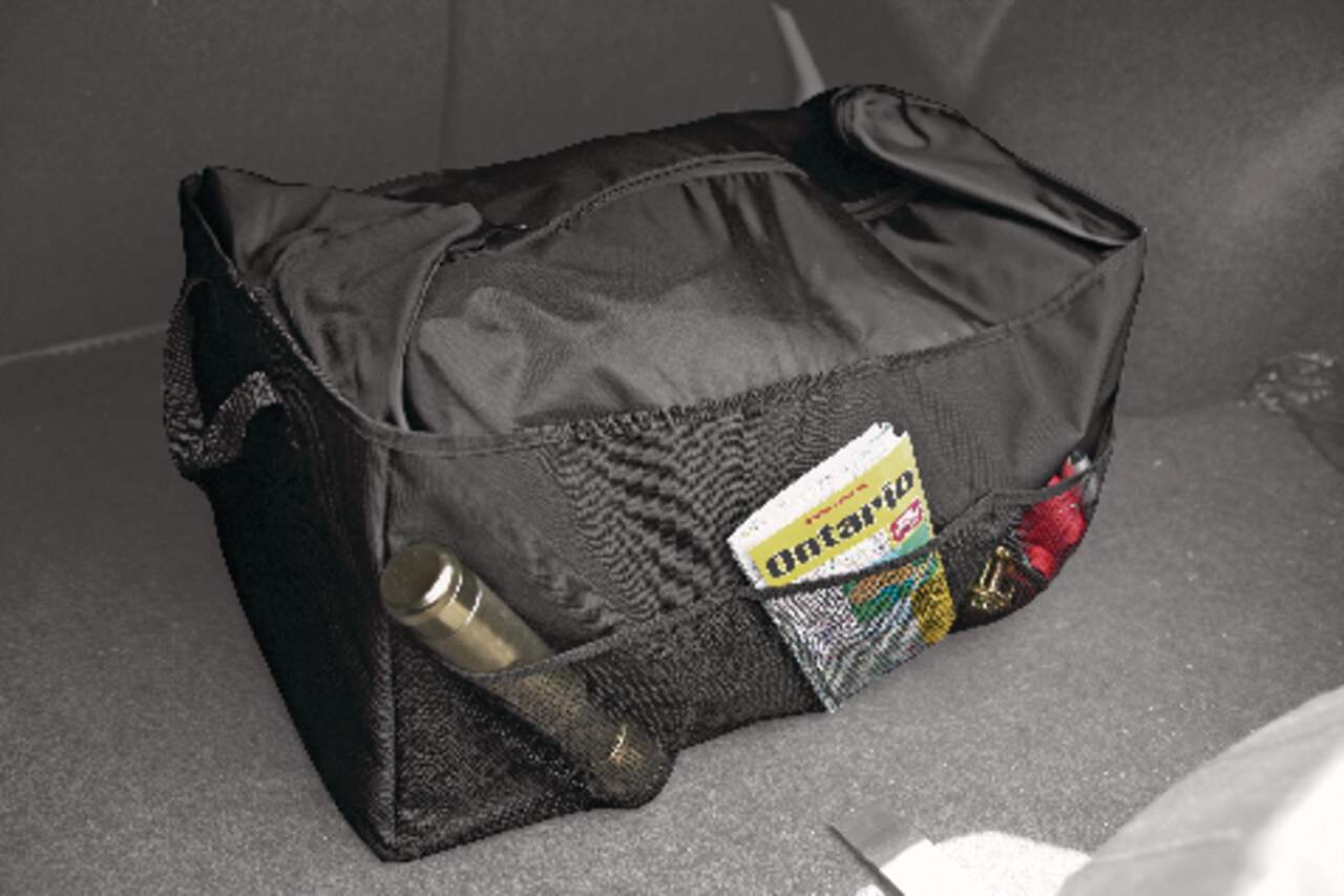 Auto Trends Folding Cargo Bag Trunk Organizer