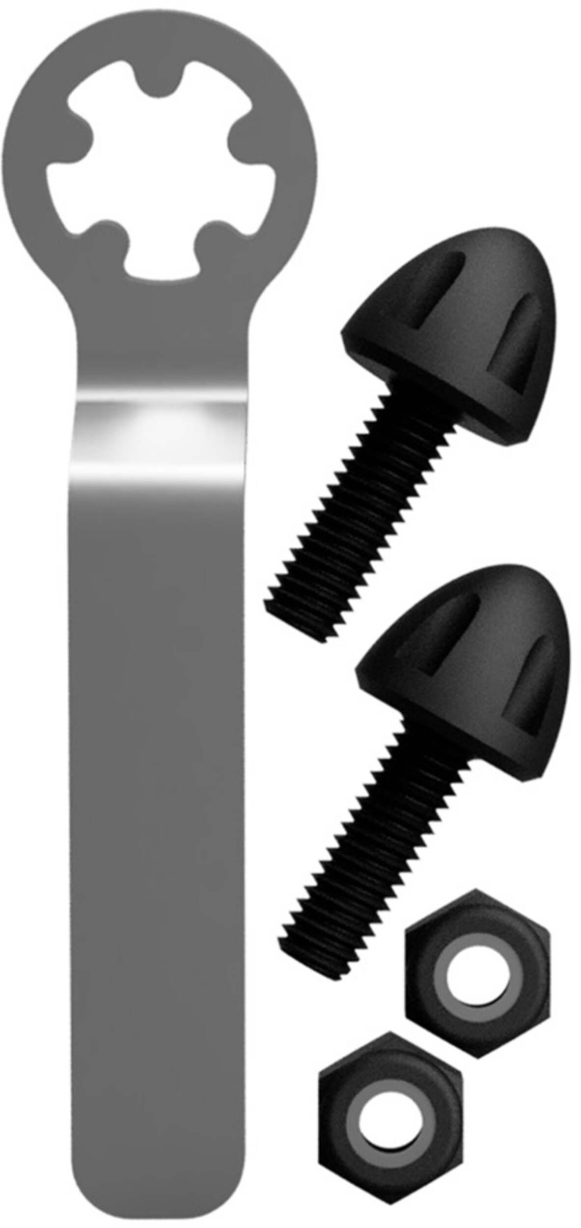AutoTrends Anti-Theft License Plate Fasteners Composite_or_Mixed
