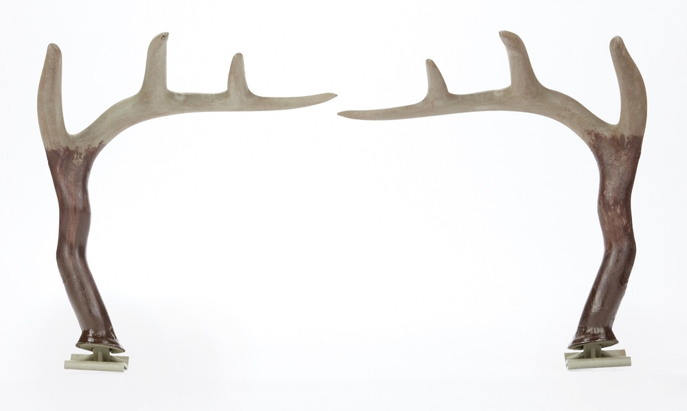 Truck Antlers Canadian Tire