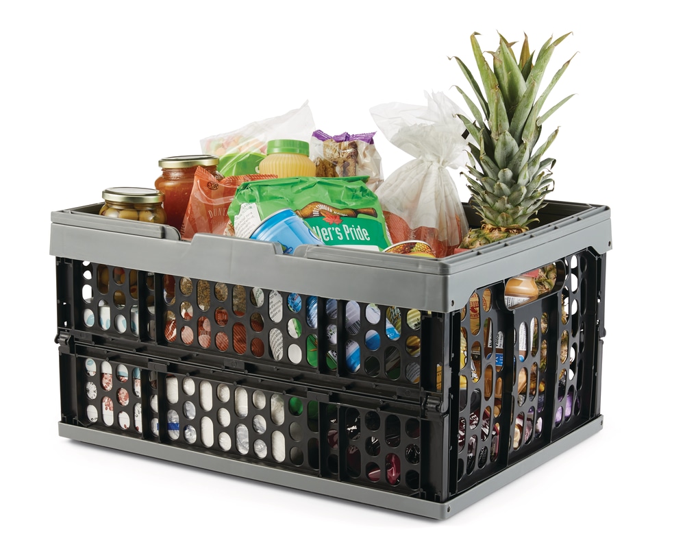 AutoTrends Collapsible Organizer Canadian Tire