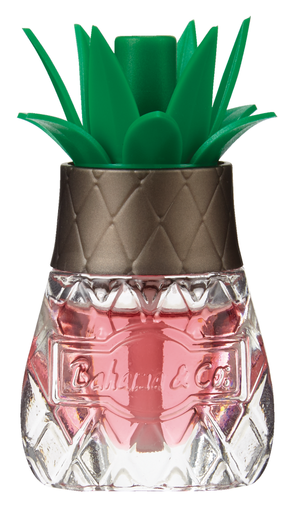 Bahama & Co Pineapple Air Freshener Canadian Tire
