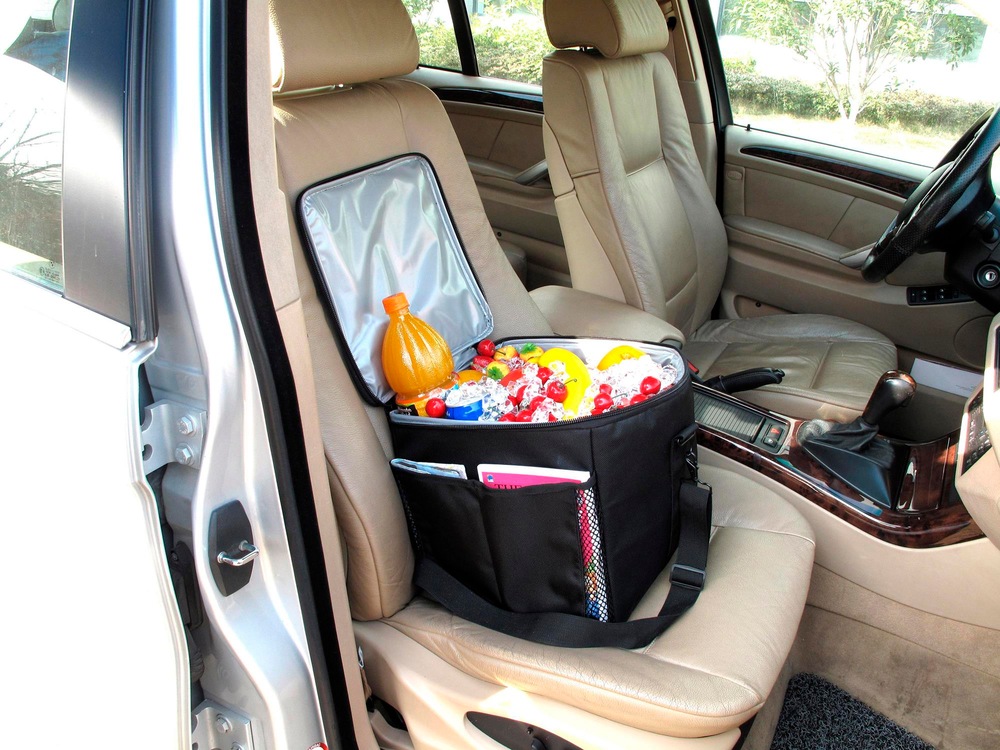 GloveBox Cooler Bag Canadian Tire