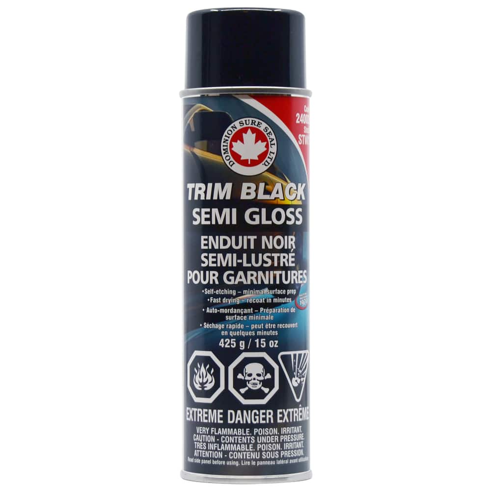 Dominion Sure Seal Trim Black Semi Gloss Paint, 425-g | Canadian Tire