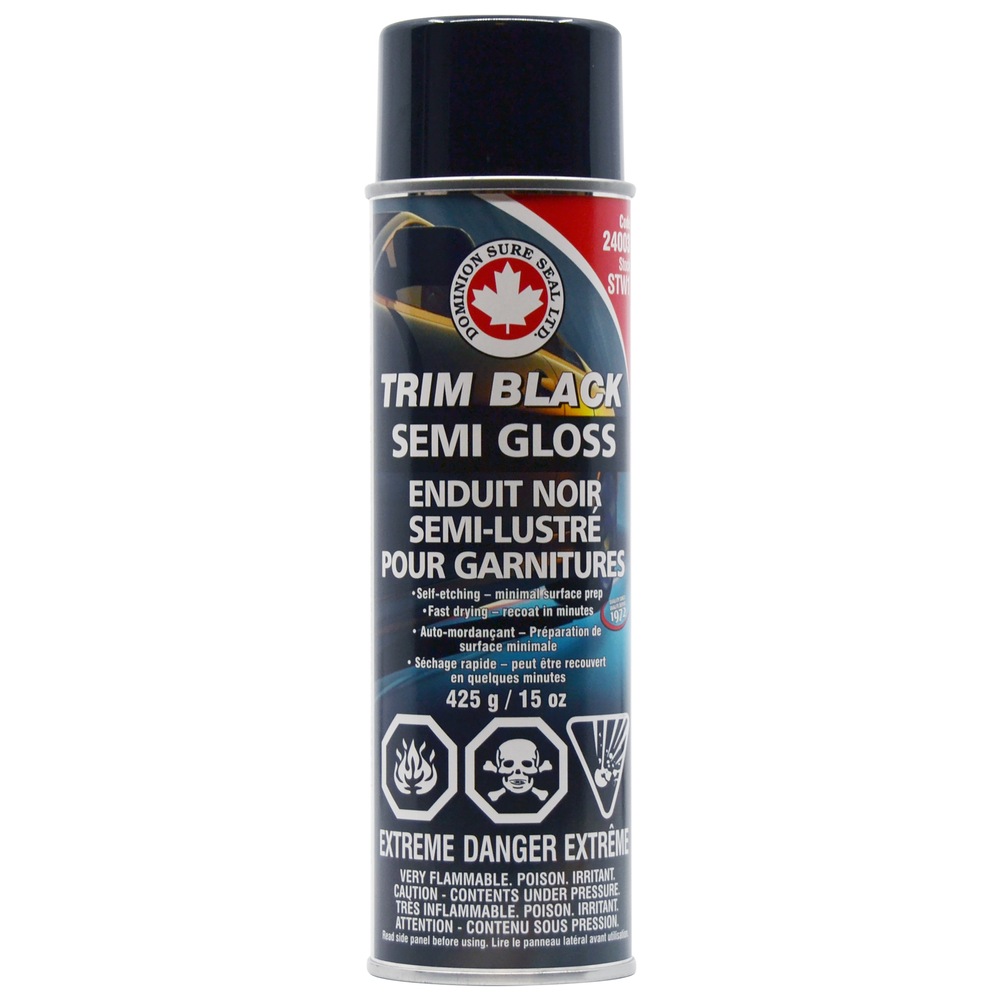 Dominion Sure Seal Trim Black Semi Gloss Paint, 425g Canadian Tire