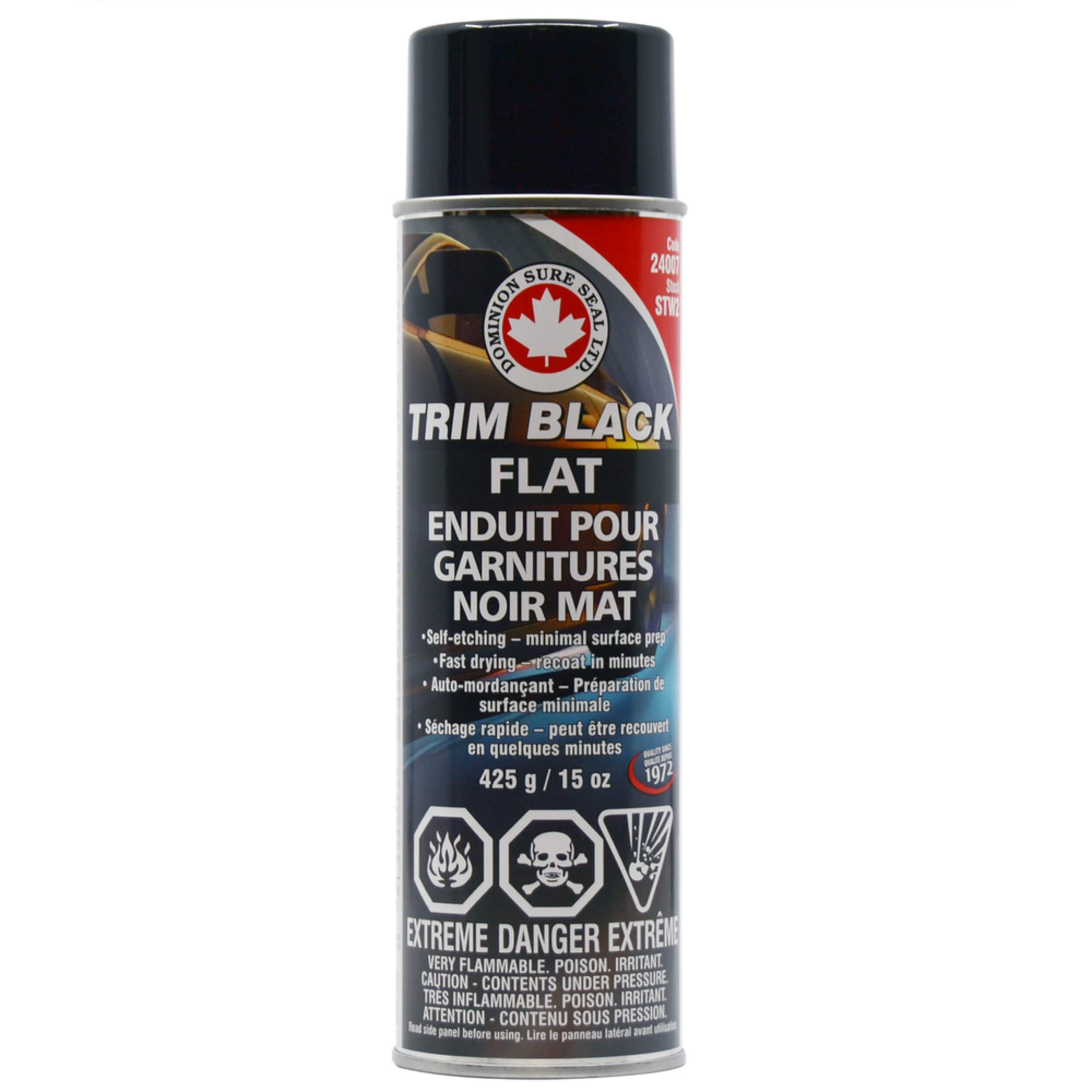 Dominion Sure Seal Trim Black Flat Paint, 425g Canadian Tire