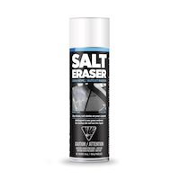 Salt Eraser Car Salt & Stain Remover Spray, 454-g Front_Flat