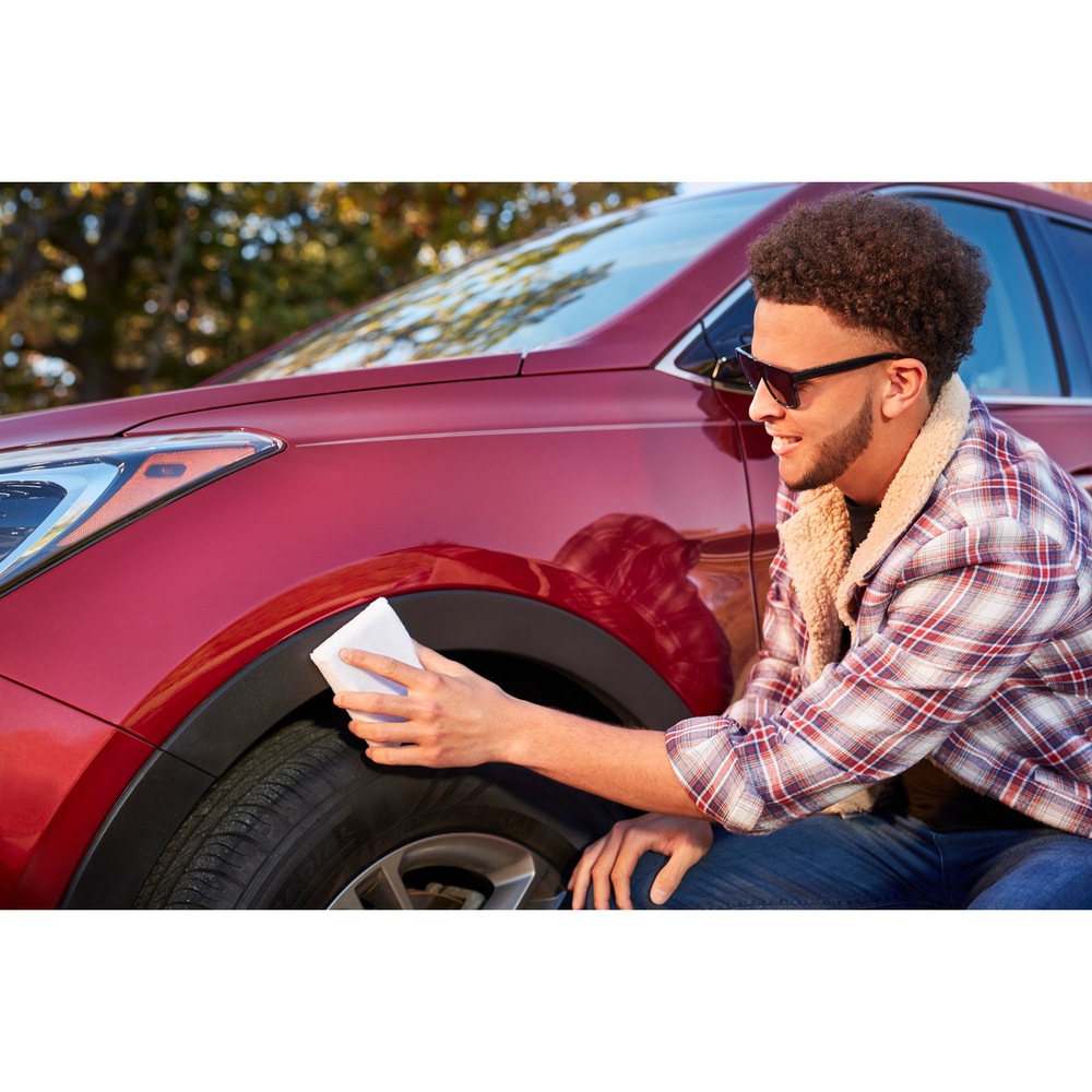 Nu Finish Trim Doctor Car Trim Protectant & Restorer, 355mL Canadian