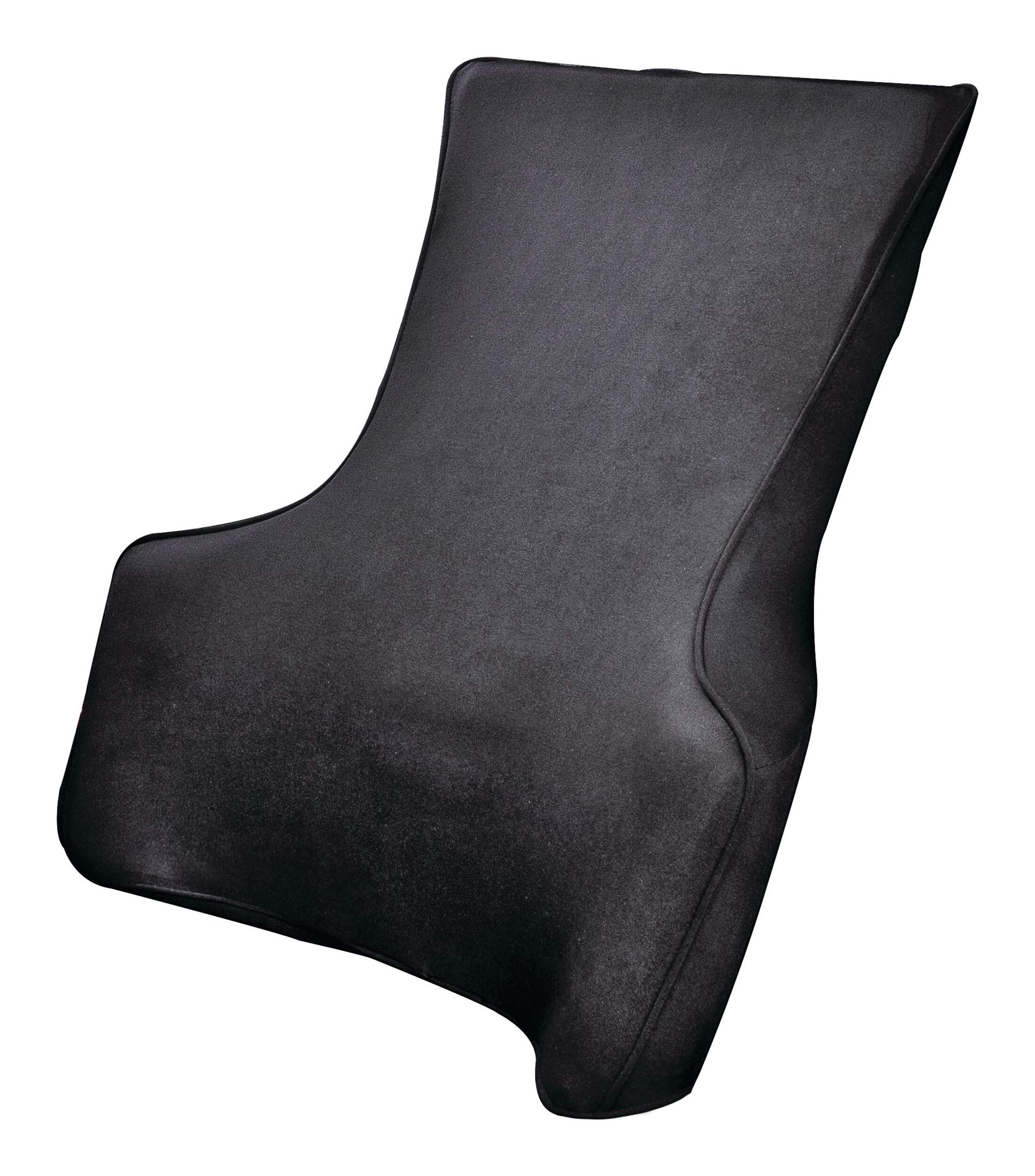 Coussin de soutien lombaire AutoTrends Front_Angled_Left