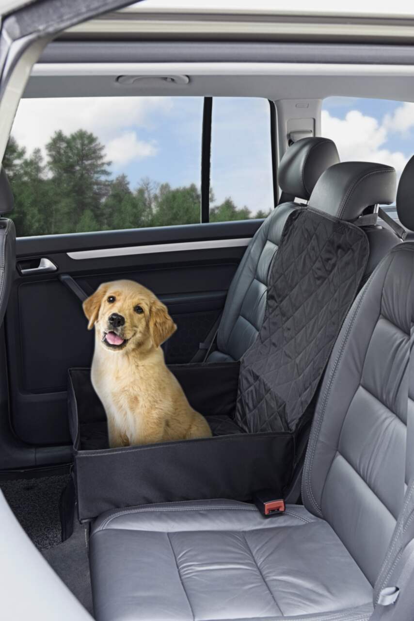 Canadian tire dog car sales seat cover