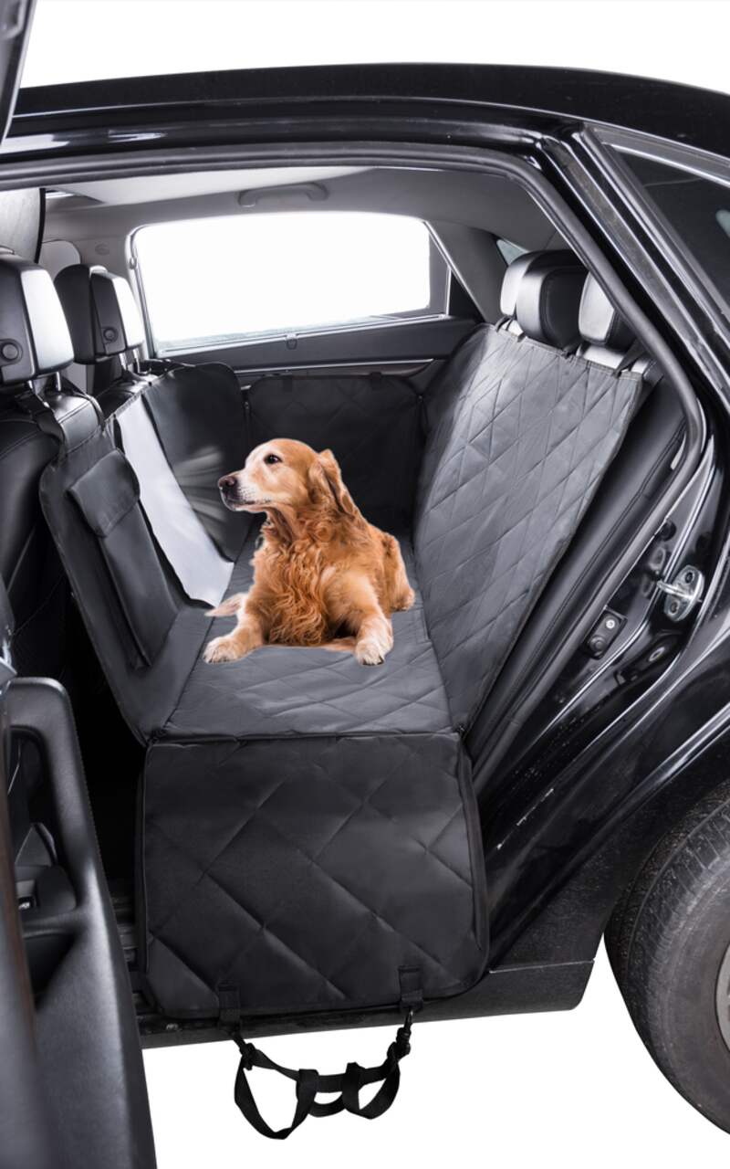 Car door protector canadian tire deals