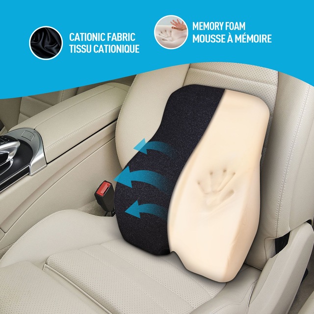 AutoTrends Memory Foam Ergonomic Lumbar Cushion with Adjustable Elastic