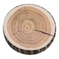 Tree Ring Seat Cushion Overhead_Plunge