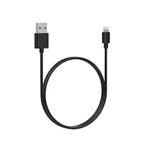 Bluehive Lightning iPhone Charge & Sync Cable, 3-ft Overhead_Flat