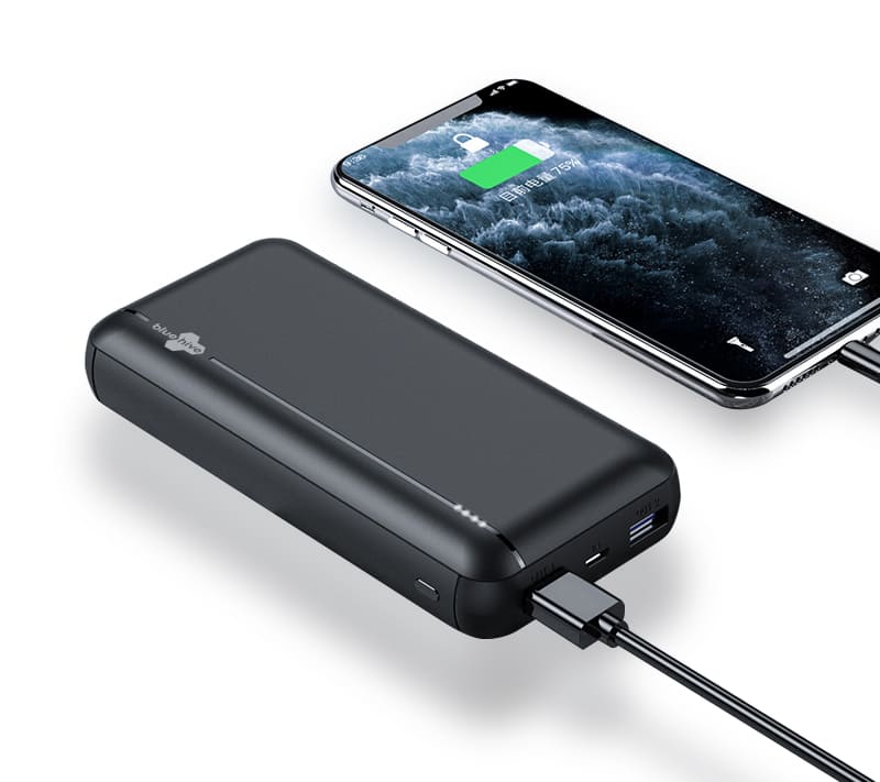 Bluehive 20,000 MAh Portable Power Bank, Black | Canadian Tire