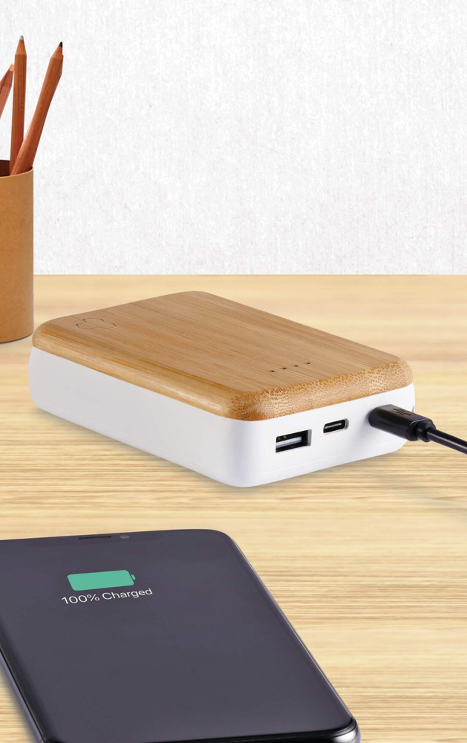 Bluehive 10K mAh Wood Power Bank Canadian Tire