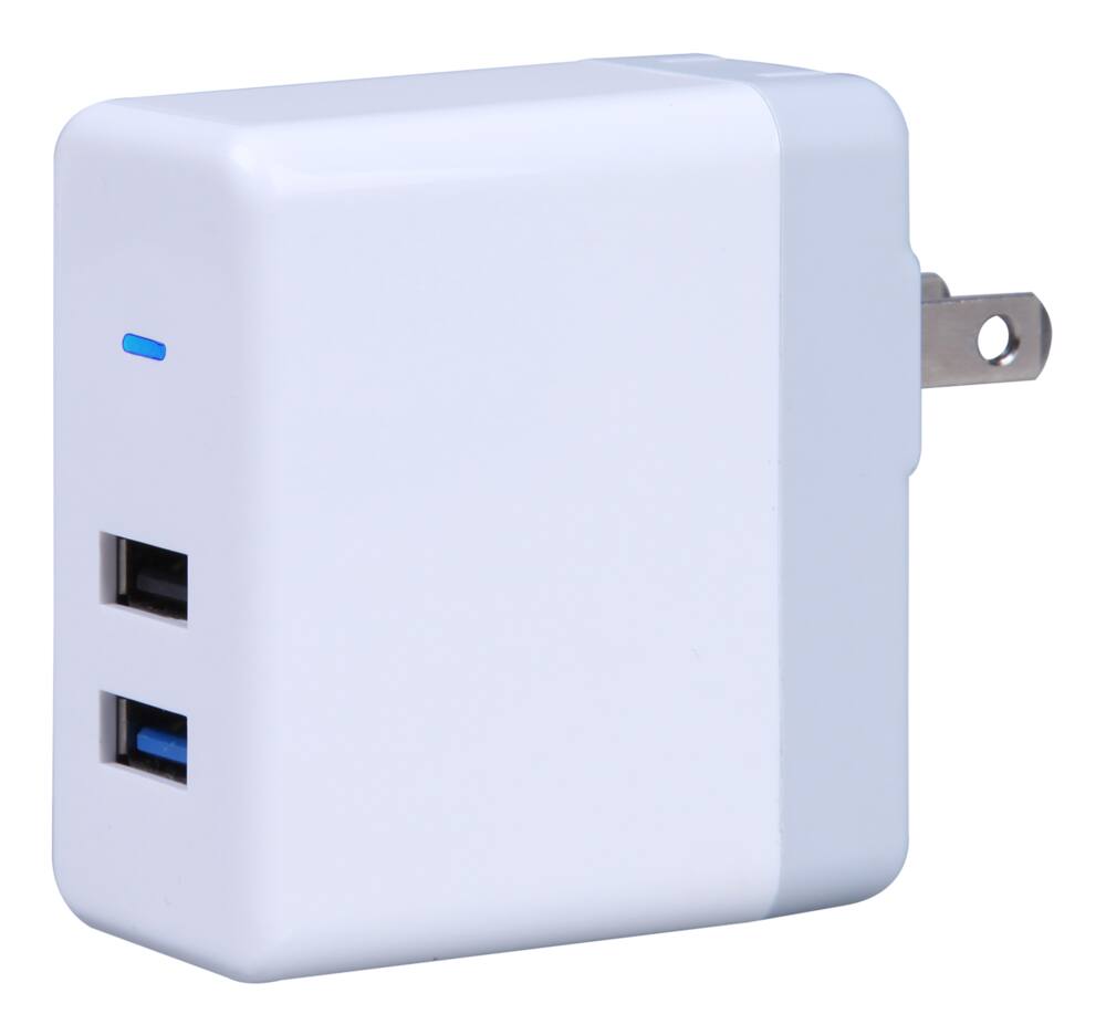 Bluehive 2.4A Dual Wall Charger, with Quick Charge, Compatible with ...