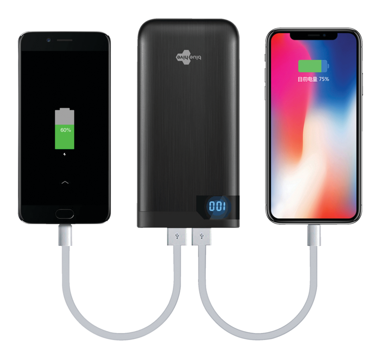 Bluehive 10,000 mAh Power Bank with Type-C Cables, Black