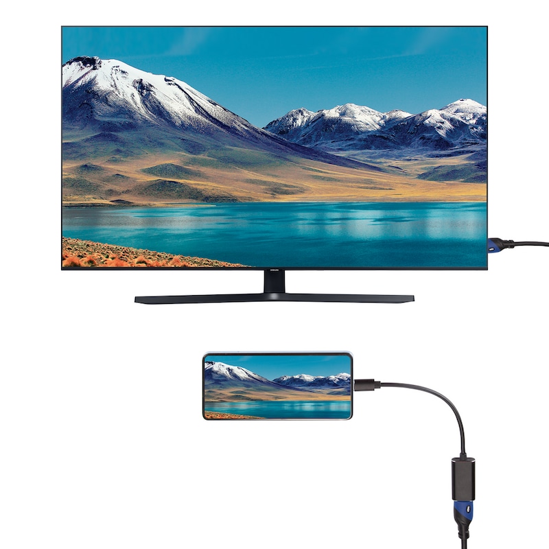 Bluehive USB TypeC to HDMI Adapter for Select Apple & Android Devices