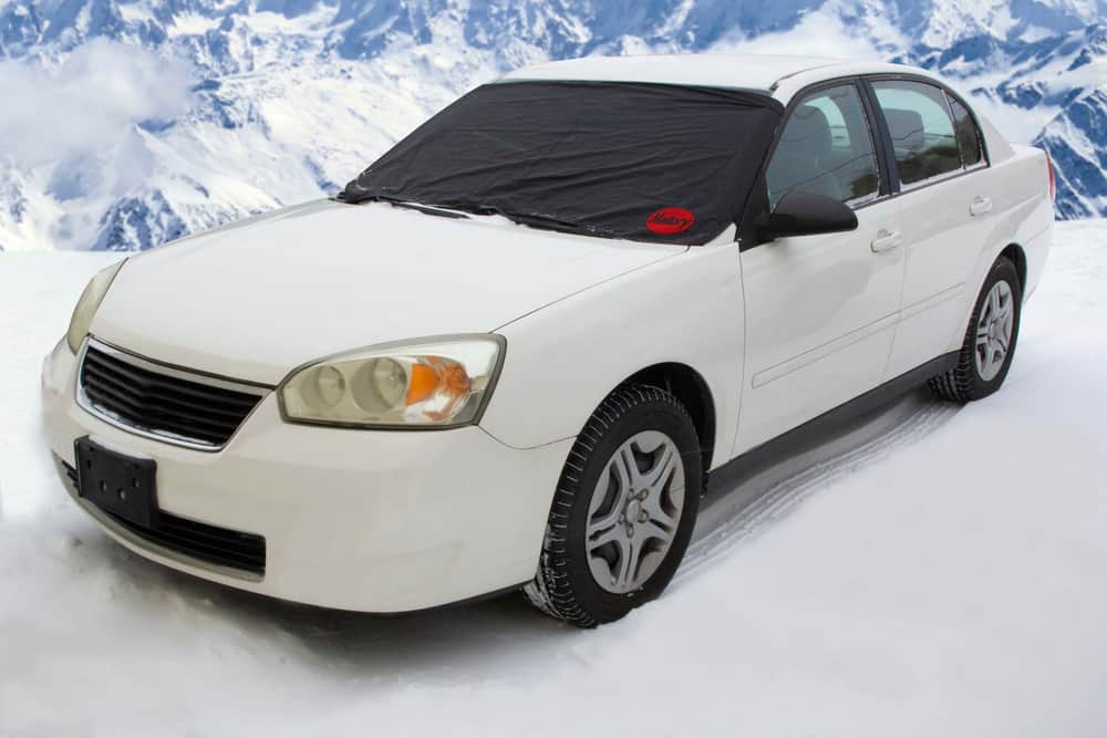 Reflex Collapsible Windshield Cover for Snow & Ice Adjustable to fit most  vehicles