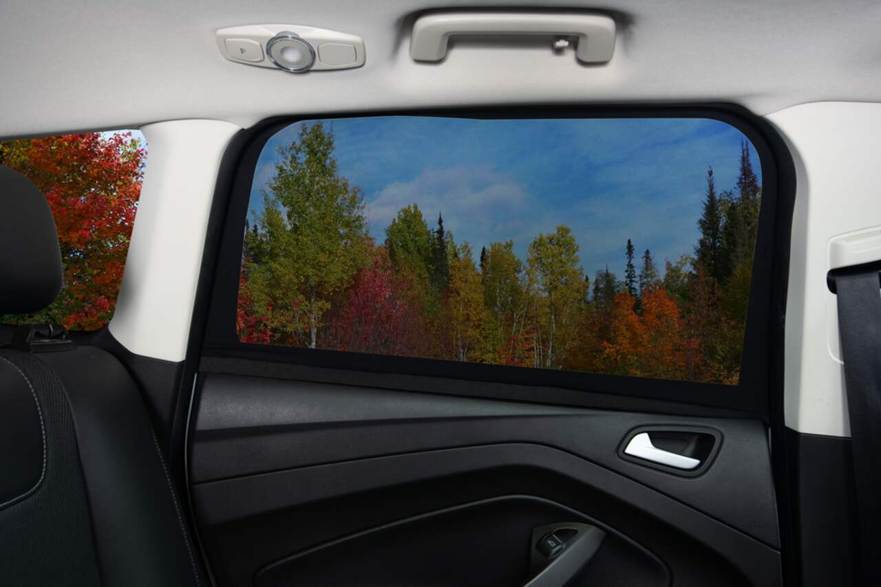 Car window sun shade canadian tire cheap