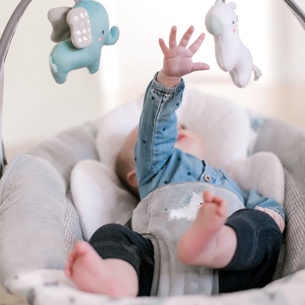 Ingenuity SmartBounce Automatic Bouncer, Chadwick Canadian Tire