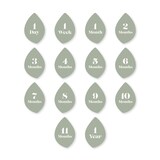 Lulujo Baby's 1st Year Milestone Blanket, Sweet as a Peach Front_Flat